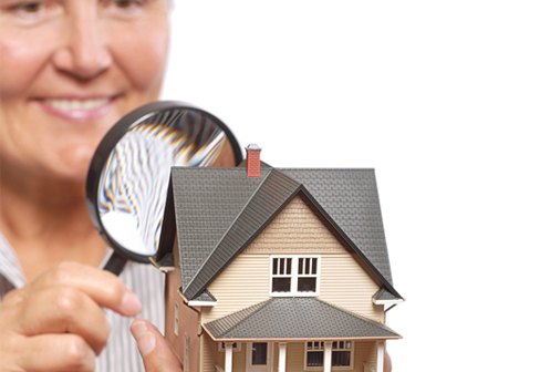 About Juro Building Inspections