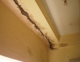 Juro Building Inspections