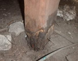 Pre-Purchase Building Inspections